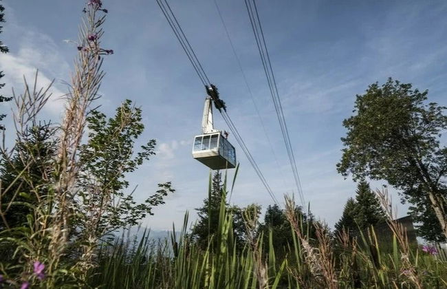 Excursión al monte Rigi - Foto 2