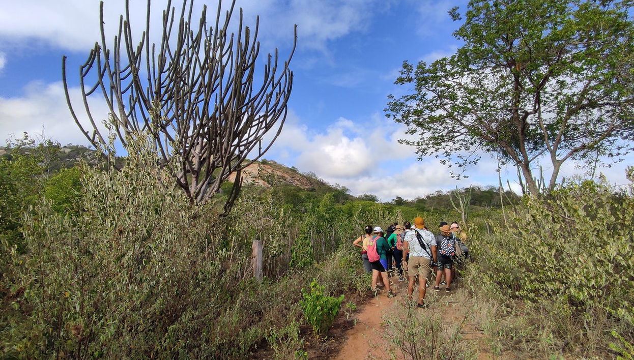 Tour de 2 días por la caatinga de Paraíba - Foto 1