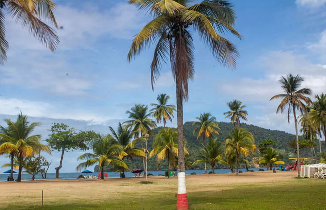 Excursion à la cascade d'Avocat et à la plage de Maracas - Photo 3