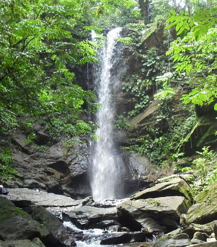 Foto de Excursión a las cascadas Avocat y la playa Maracas