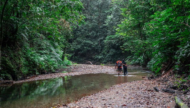 Excursión a las cascadas Avocat y la playa Maracas - Foto 2
