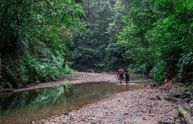 Excursión a las cascadas Avocat y la playa Maracas - Foto 2