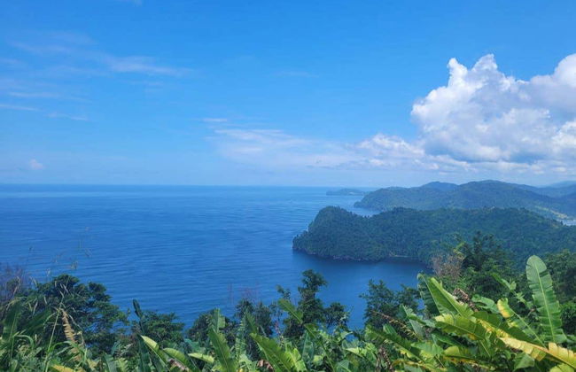 Excursión a las cascadas Avocat y la playa Maracas - Foto 6