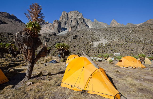 Mount Kenya Private Hiking Tour - Photo 2