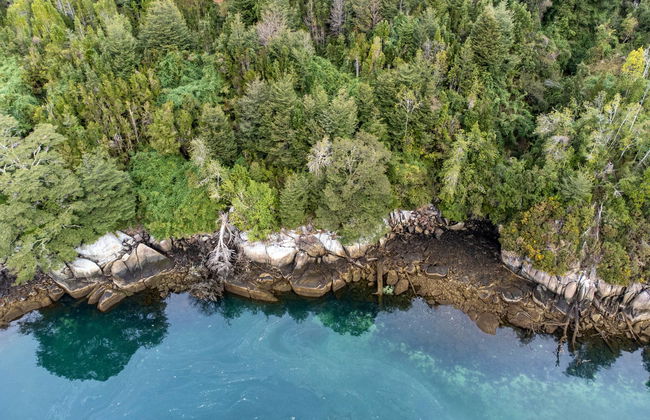 Reloncavi Estuary & Tagua Tagua Lake Day Trip - Foto 7