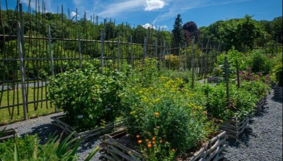 Les Jardins de Puygirault Ticket - Photo 4