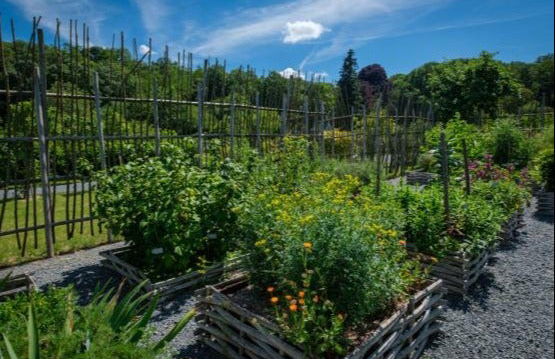 Les Jardins de Puygirault Ticket - Photo 4