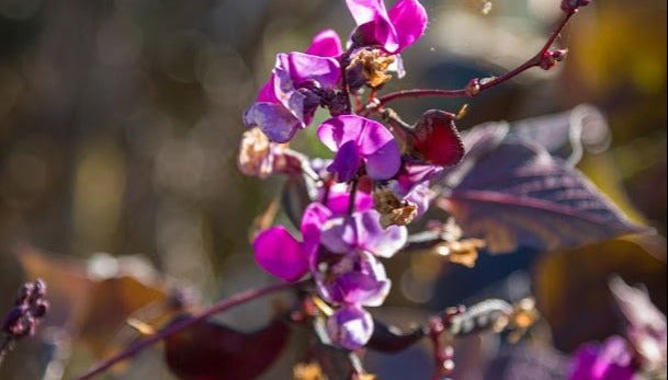 Les Jardins de Puygirault Ticket - Photo 5