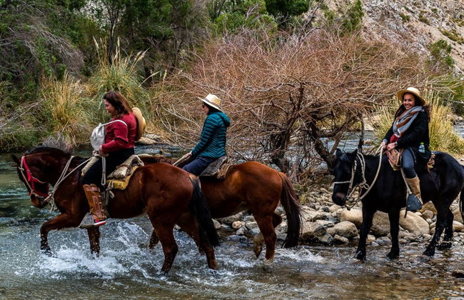 Horseback Riding in Cochiguaz - Photo 10