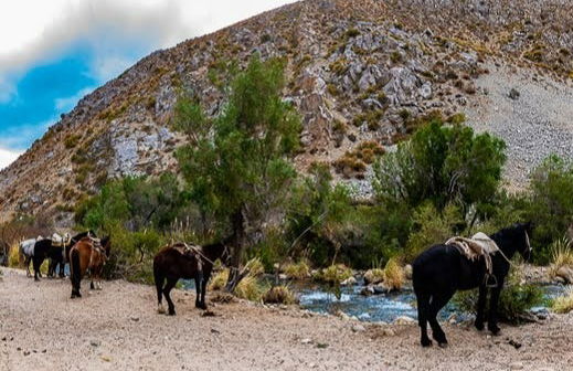 Horseback Riding in Cochiguaz - Photo 6