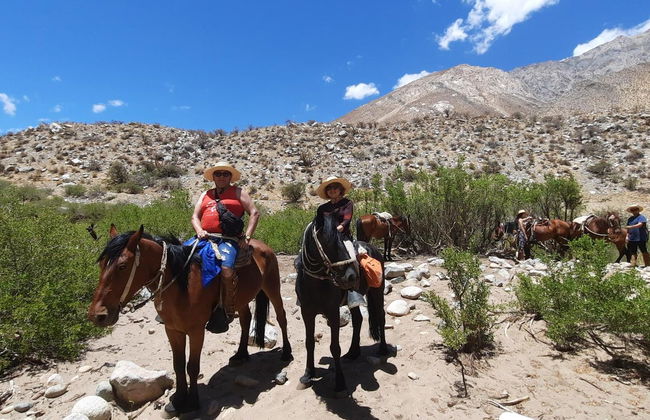 Horseback Riding in Cochiguaz - Photo 9