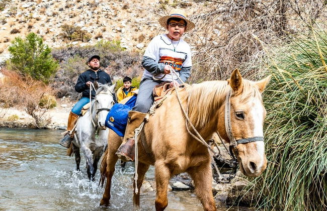 Horseback Riding in Cochiguaz - Photo 4