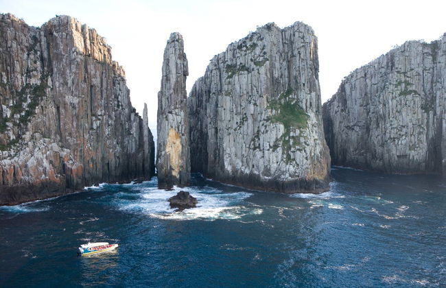 Paseo en barco por la isla Tasman - Foto 4
