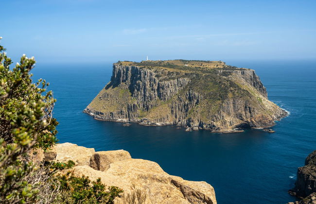Paseo en barco por la isla Tasman - Foto 7