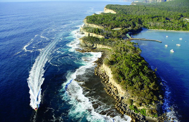 Paseo en barco por la isla Tasman - Foto 3