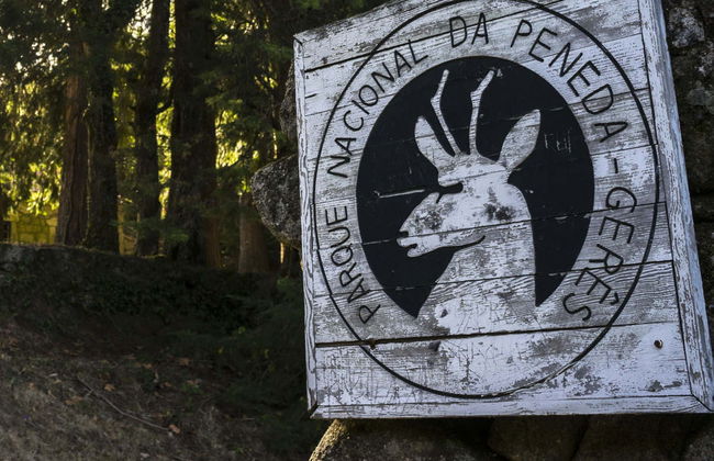 Peneda-Gerês National Park River Walk - Photo 7