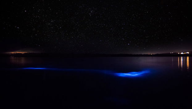 Tour de Bob Marley + Cascadas del río Dunn y Laguna Luminosa - Foto 3