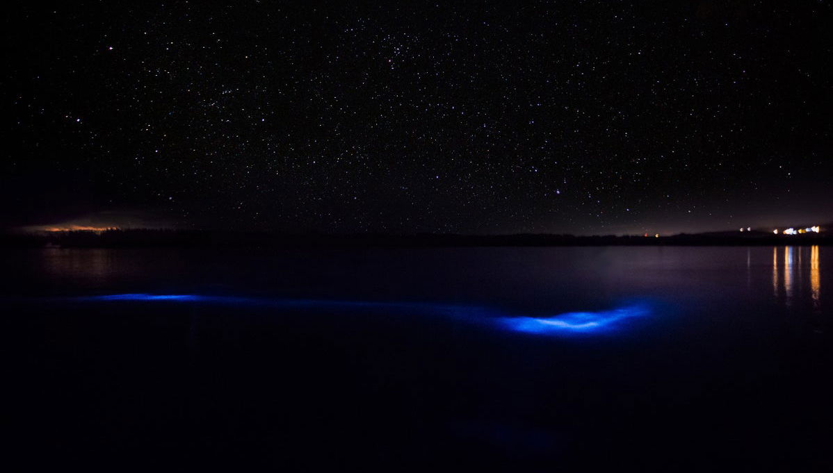 Excursión nocturna a la Laguna Luminosa - Foto 1