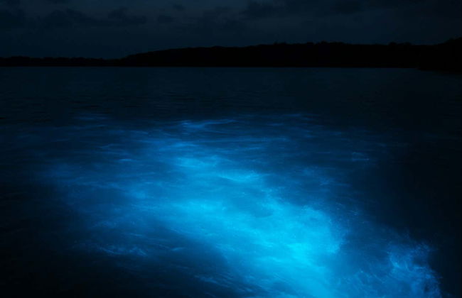 Excursión nocturna a la Laguna Luminosa - Foto 4