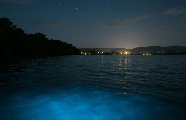 Excursión nocturna a la Laguna Luminosa - Foto 3