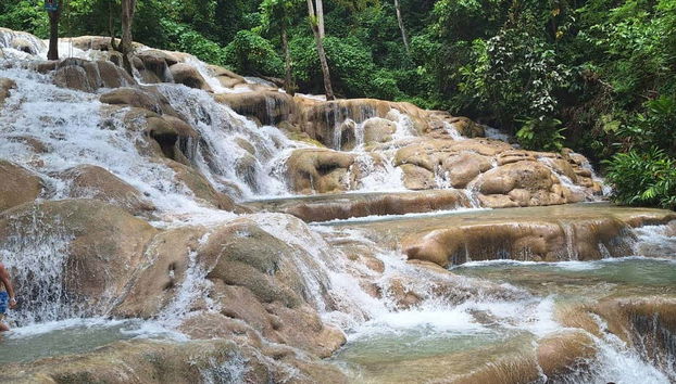 Excursión a las cascadas del río Dunn y el Agujero Azul - Foto 4