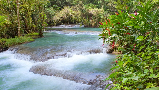 Excursión a las cascadas del río Dunn y el Agujero Azul - Foto 2