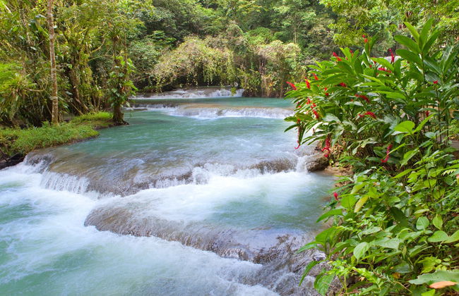 Excursión a las cascadas del río Dunn y el Agujero Azul - Foto 2