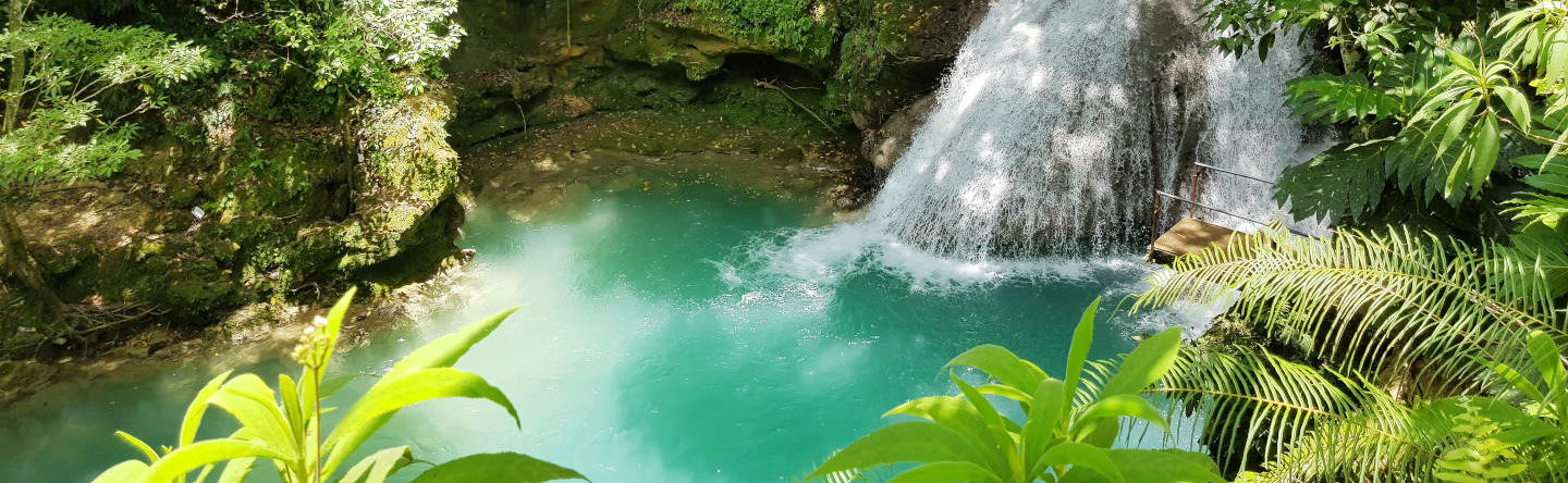 Excursión a las cascadas del río Dunn y Agujero Azul - Foto 1