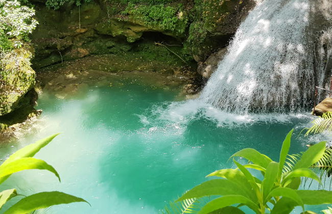Dunn's River Falls & Blue Hole Day Trip - Foto 5