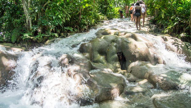 Excursión a las cascadas del río Dunn y el Agujero Azul - Foto 4