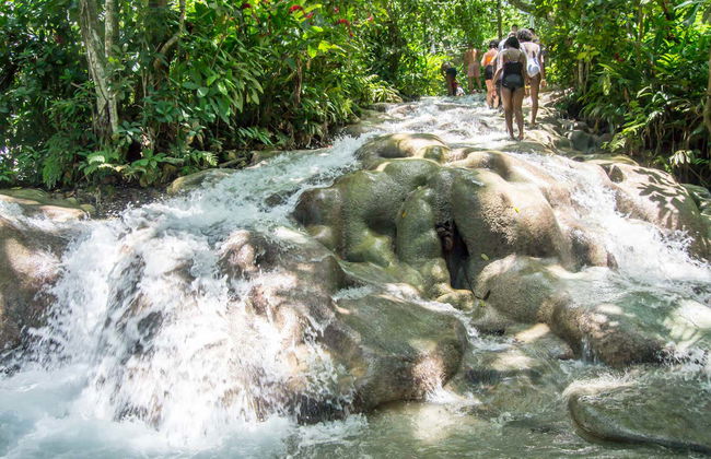 Excursión a las cascadas del río Dunn y el Agujero Azul - Foto 4