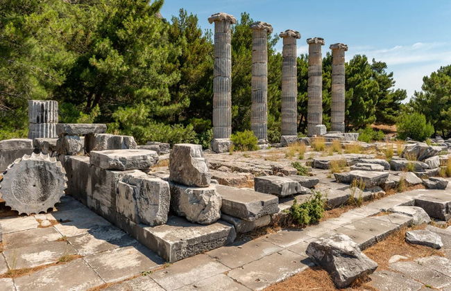 Priene, Miletus & Didyma Day Trip - Foto 1