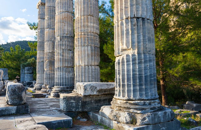 Priene, Miletus & Didyma Day Trip - Foto 7