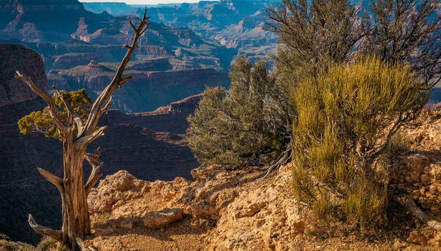 Grand Canyon West Tickets - Photo 4