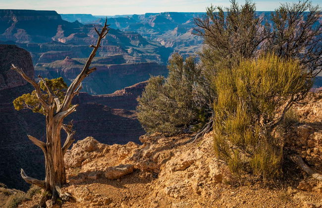 Grand Canyon West Tickets - Photo 4