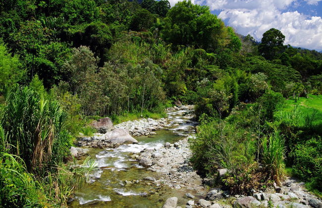 Tour de bicicleta pelas montanhas de Salento - Foto 6
