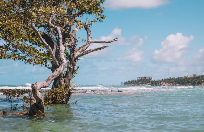 Excursão privada ao Mirante da Sereia, praia de Ipioca e Paripueira - Foto 1