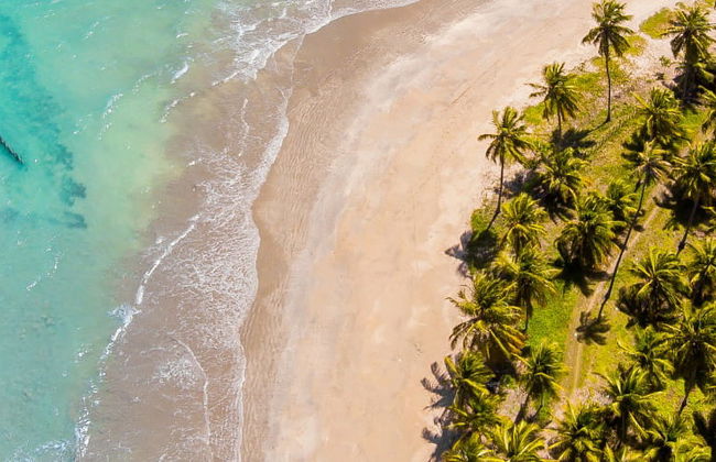 Excursão privada ao Mirante da Sereia, praia de Ipioca e Paripueira - Foto 7