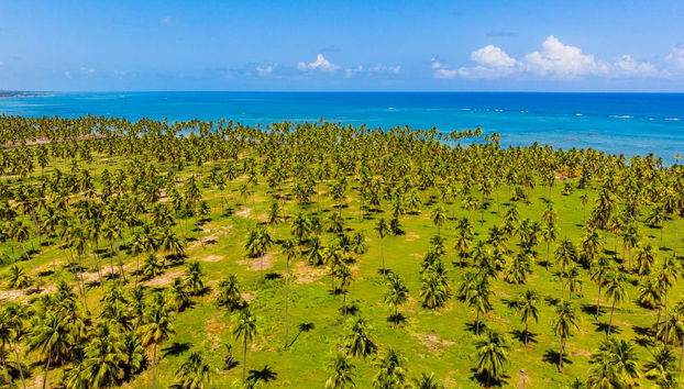 Excursão privada ao Mirante da Sereia, praia de Ipioca e Paripueira - Foto 4