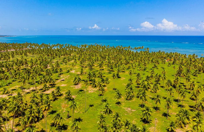 Excursão privada ao Mirante da Sereia, praia de Ipioca e Paripueira - Foto 4