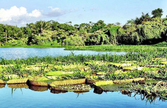 Tour pelo lago do Maicá - Foto 3