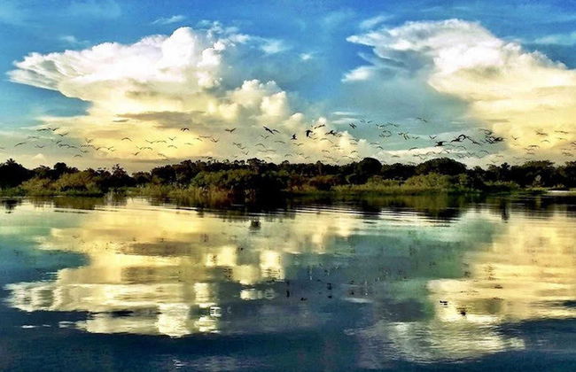 Tour pelo lago do Maicá - Foto 1