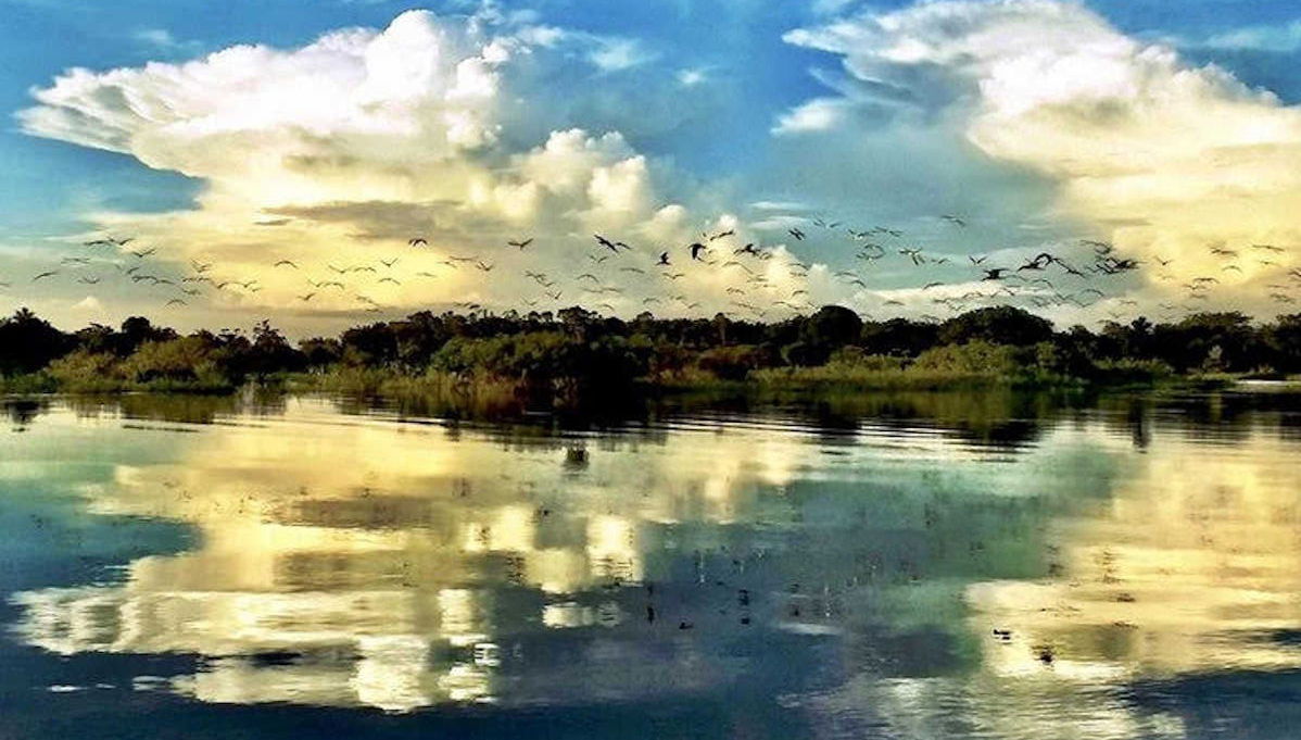 Tour pelo lago do Maicá - Foto 1