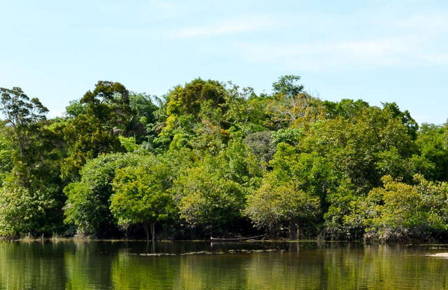 Tour pelo lago do Maicá - Foto 8