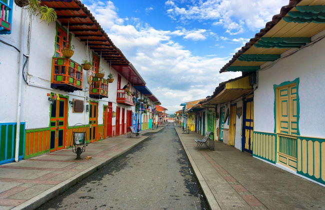 Excursão privada ao Vale do Cocora + Passeio a cavalo - Foto 3