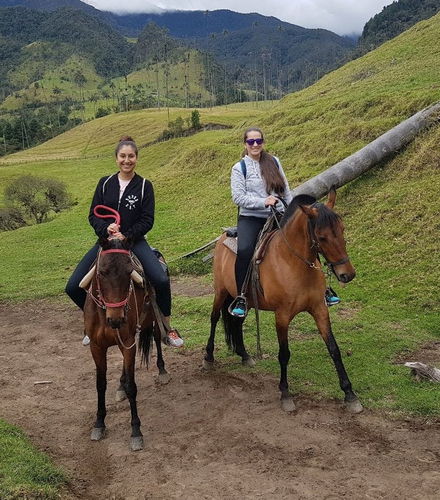 Photo – Cocora Valley Private Day Trip &amp; Horse Riding
