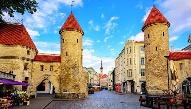 Tallinn Sightseeing Bus - Foto 2