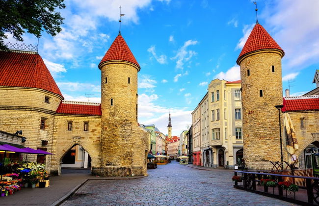 Bus touristique de Tallinn - Photo 2