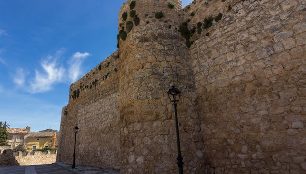 Visita guiada por Brihuega - Foto 5