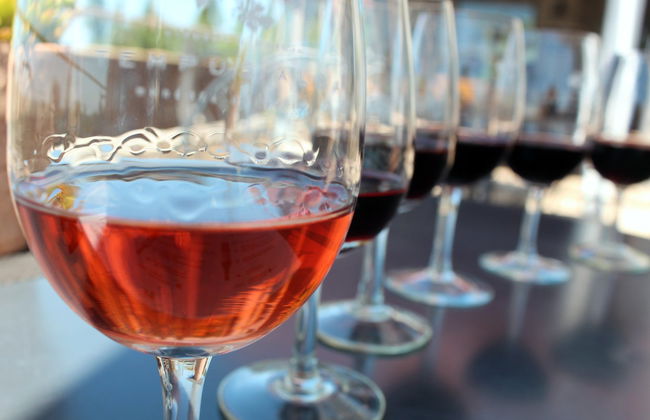 Tour de viñedos y bodegas por San Rafael - Foto 6